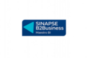 Sinapsecorpb2b